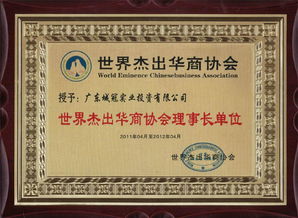 廣東城冠實(shí)業(yè)投資集團(tuán)圖冊(cè)——精準(zhǔn)投資咨詢，引領(lǐng)價(jià)值創(chuàng)造